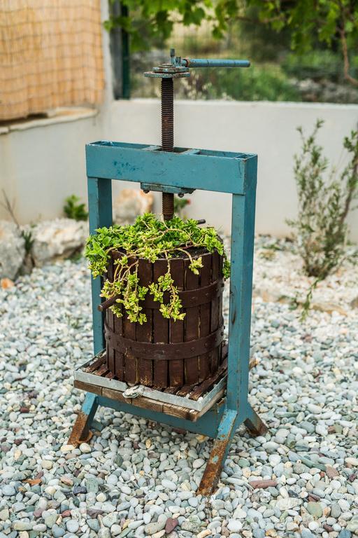 Holiday Home Gabi روغوزنيكا المظهر الخارجي الصورة